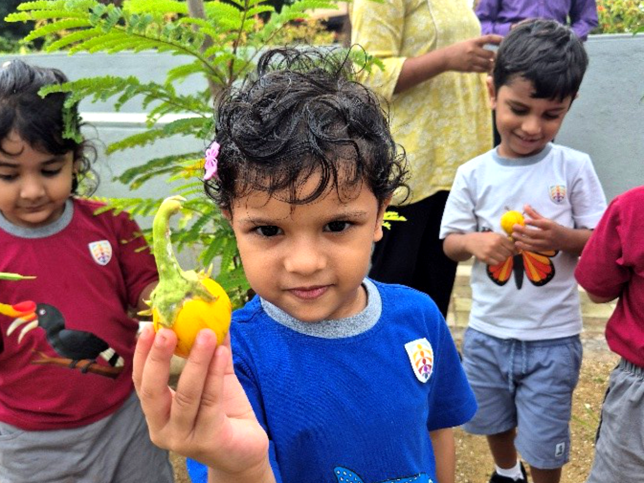 Nursery students at RISE learning about vegetables through hands-on harvesting